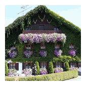 Balkonpflanzen Haus